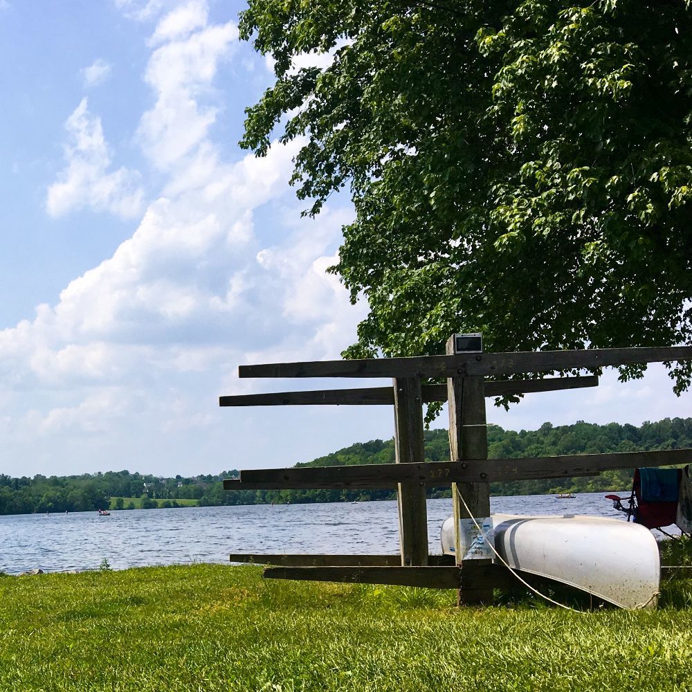 Meet your Posher, Shannon